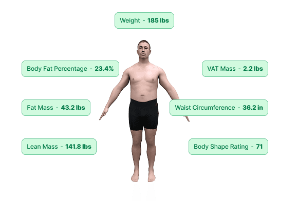 Sample Fit3D 3D body avatar with green measurement callouts labeled After